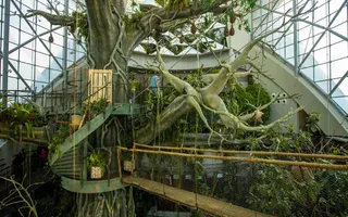 The Green Planet, City Walk