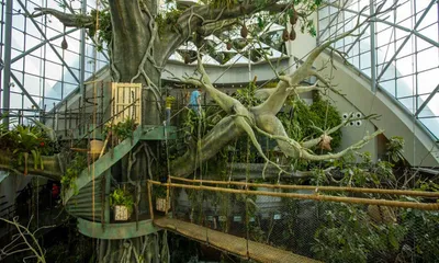 The Green Planet, City Walk