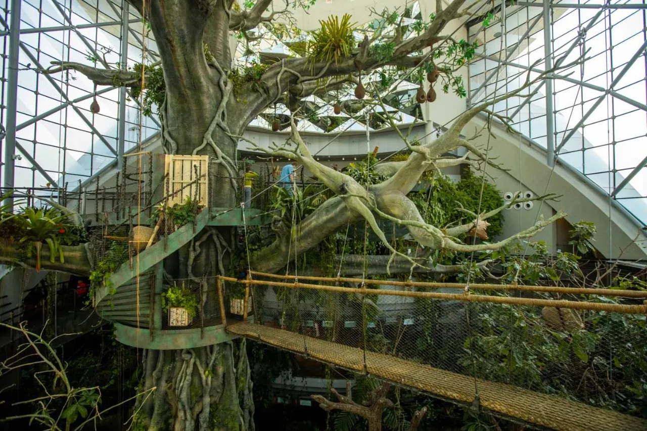 The Green Planet, City Walk, Dubai