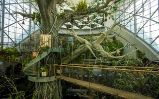 The Green Planet, City Walk