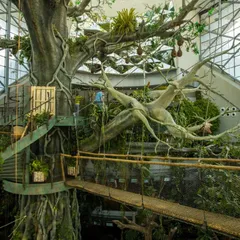 The Green Planet, City Walk