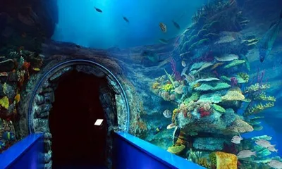 Sharjah Museum & Aquarium, Al Khan