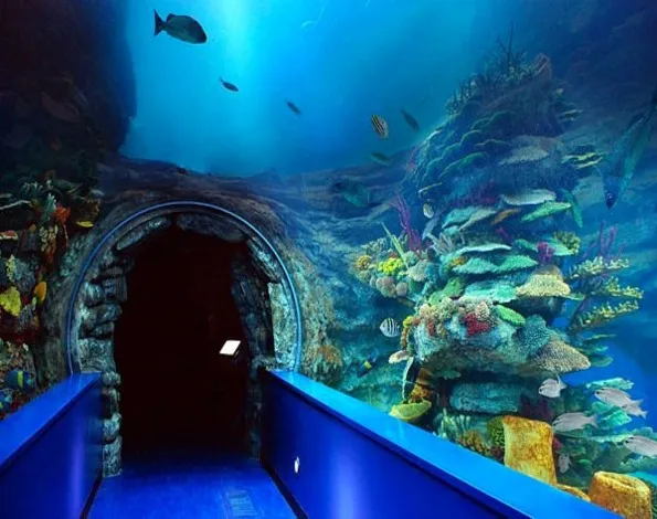 Sharjah Museum & Aquarium