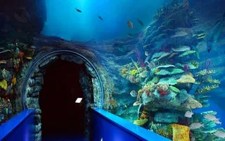 Sharjah Museum & Aquarium, Al Khan