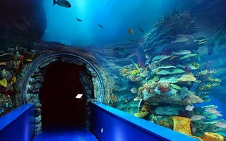 Sharjah Museum & Aquarium, Al Khan