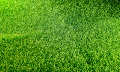 Artificial Turf