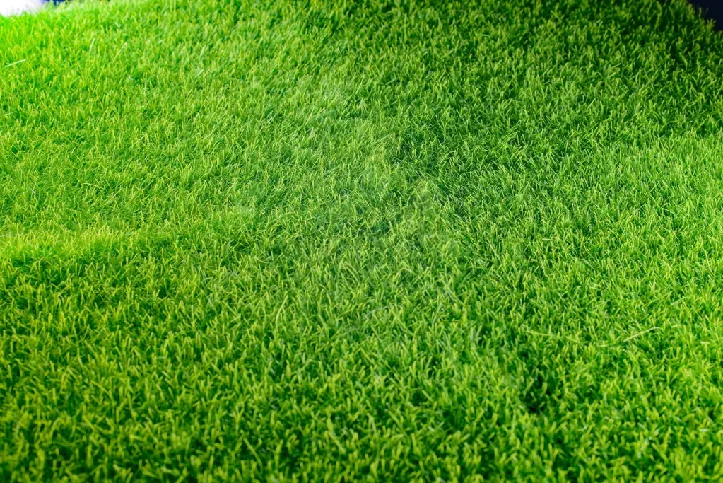 Artificial Turf